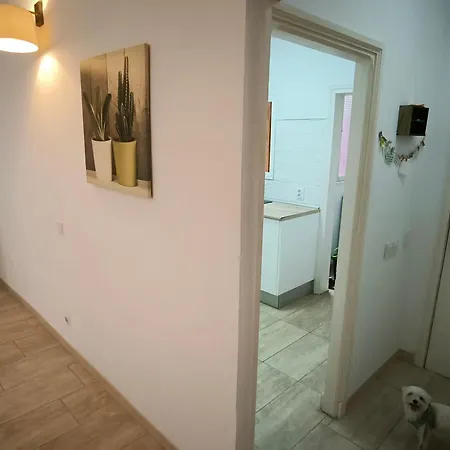 Apartment Casa Tinko